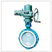 上海师范大学攻读博士学位研究生电动衬氟蝶阀